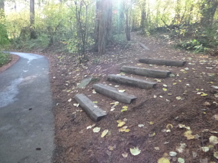 Steep section with stairs connects the natural surface trail to the paved trail Steep section with stairs connects the natural surface trail to the paved trail